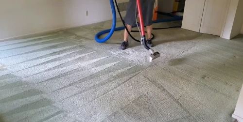 Professional carpet cleaning Medford Oregon — hot water extraction results