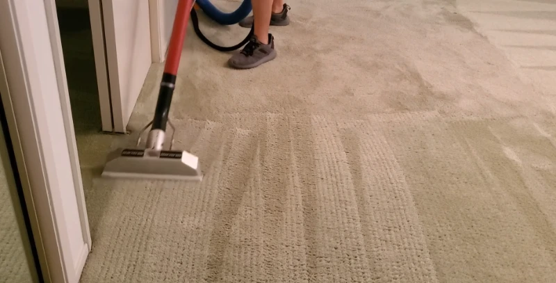 Bedroom carpet fully restored after professional pet stain enzyme treatment — Medford OR