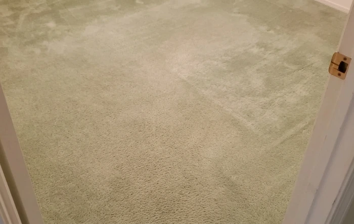 Bedroom carpet fully restored after professional pet stain enzyme treatment and hot water extraction — Medford OR