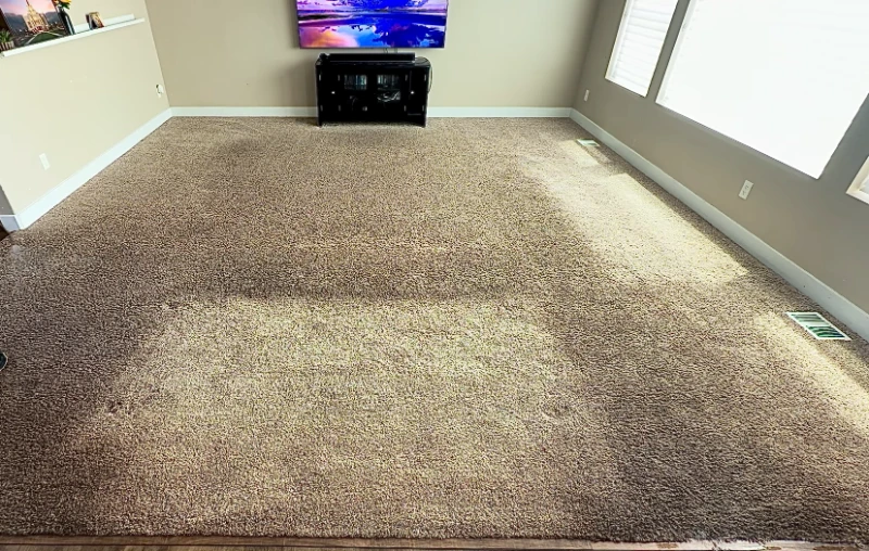 Living room carpet with heavy traffic lane soiling and embedded dirt before professional cleaning — Medford Oregon